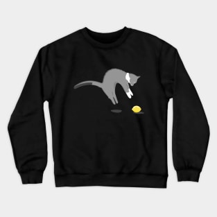 Funny scared cat and lemon Crewneck Sweatshirt